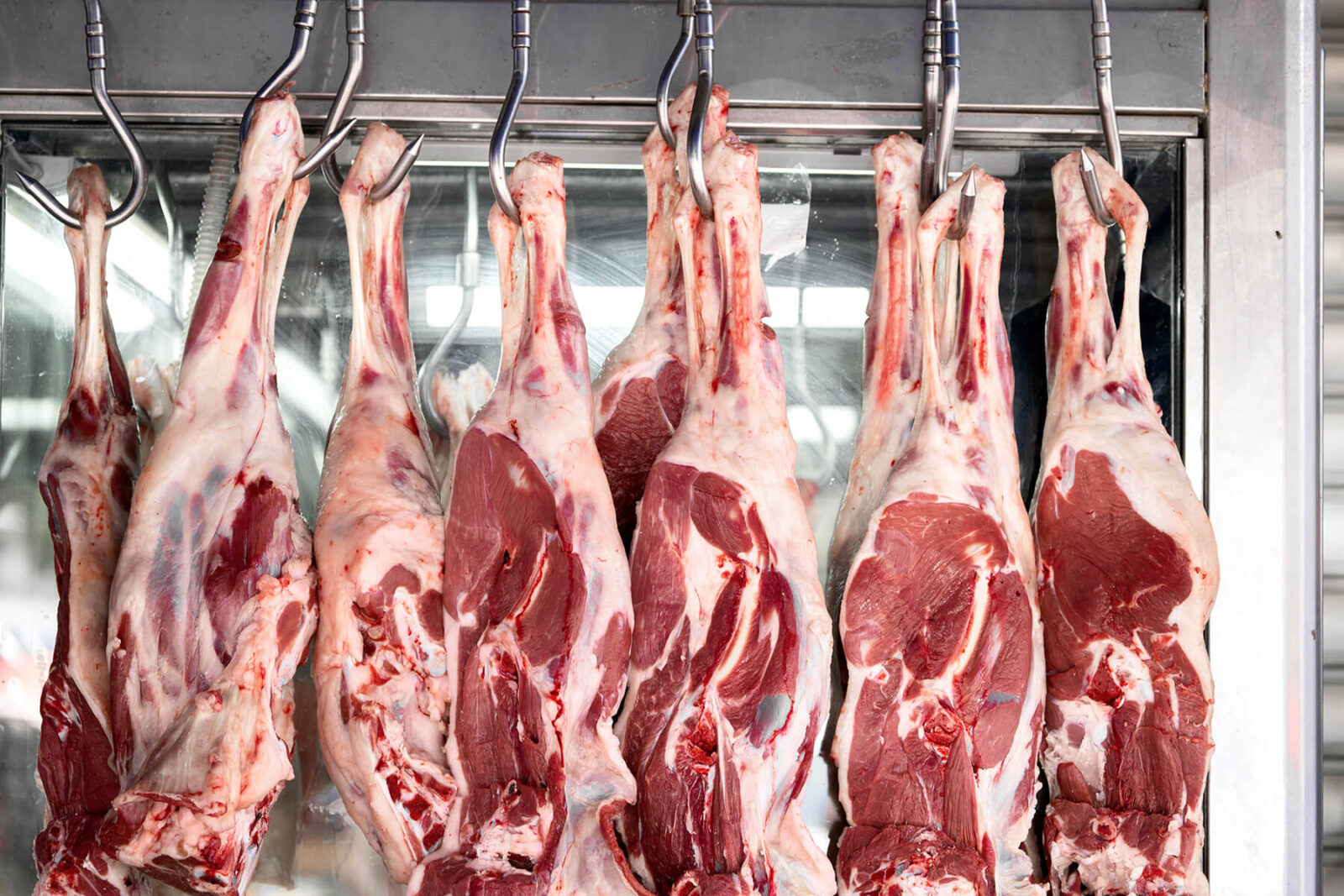 Goat 6-Way (12-16kg)